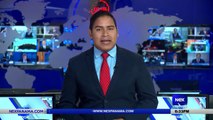 Reacciones a masacre en La Joya  - Nex Noticias