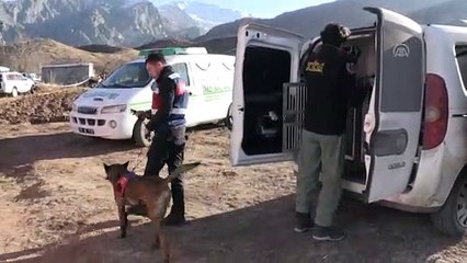 Foseptik çukurunda ceset bulundu - IĞDIR