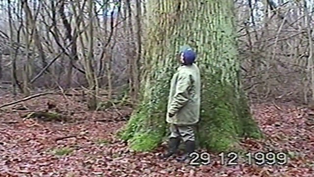 DNA - Images d'archives : Constat des séquelles de la tempête du 26 déc 1999 à Brumath (Forêt)