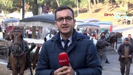 Büyükada'daki faytonculardan ruam hastalığı yorumu