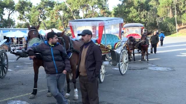Adalar'da ruam hastalığına yakalanan atların itlaf edilmesi