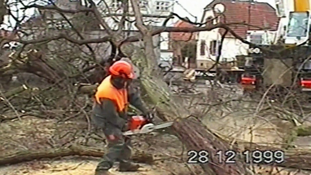 DNA - Images d'archives : Constat des séquelles de la tempête du 26 déc 1999 à Brumath (Ville)