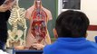 Una profesora de Valladolid pone en marcha una divertida iniciativa para enseñar Anatomía