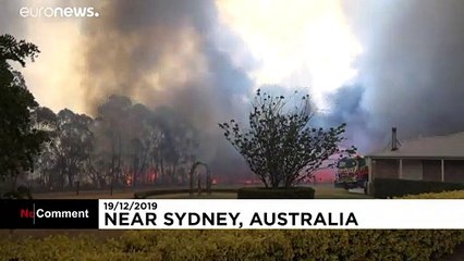 Download Video: Declaran el estado de emergencia en Australia por los incendios forestales