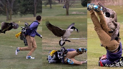 ¿Quién dijo que el golf no es un deporte de riesgo?