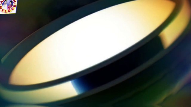 Dubai Dolphinarium (Dolphin & Seal Show)