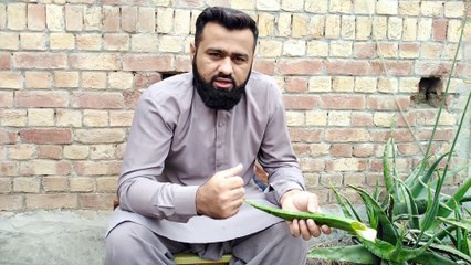 Aloe Vera | گوار گندل Eating Challenge | Vlog Must watch