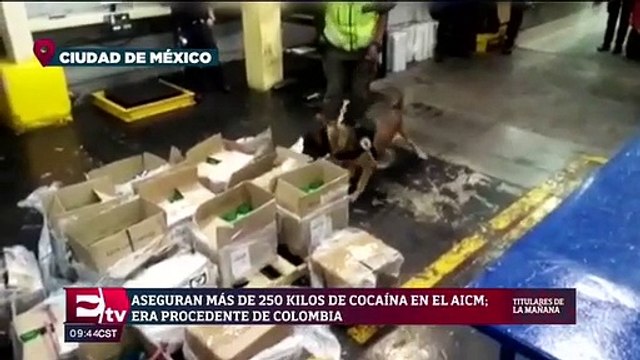 Decomisan en el AICM más de 250 kilogramos de cocaína