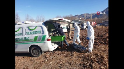 Foseptik çukurunda insan kemikleri bulundu