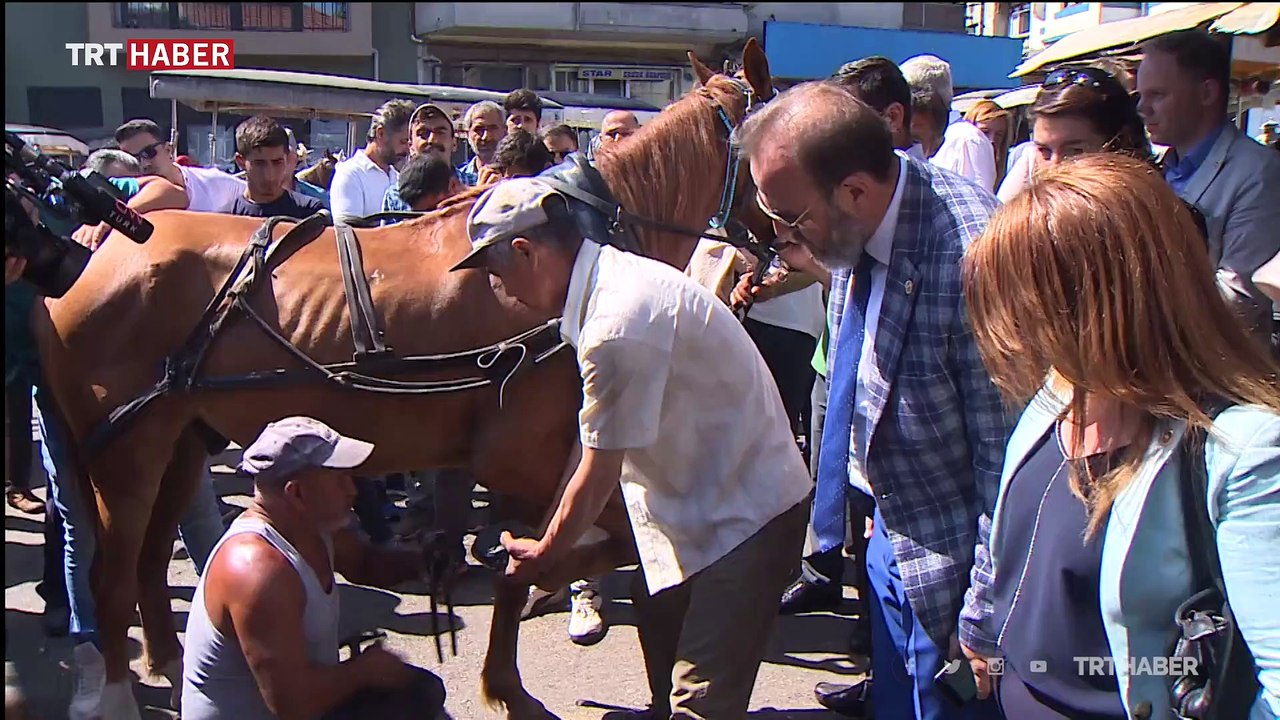 Adalar'da ruam hastalığı krizi
