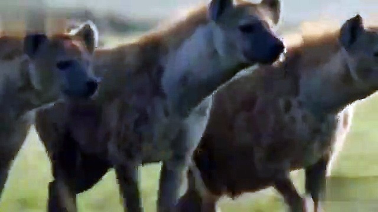 رشتوں کو استعمال کر کے کنجر کتے ہی فائدہ اٹھاتے ہیں