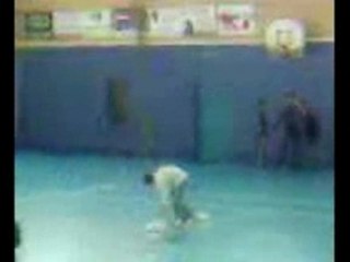 Robin monsieur propre