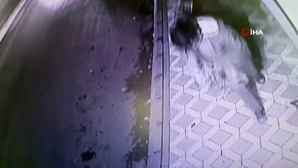 Battaniyeli hırsızlık şüphelileri önce kameraya sonra polise yakalandı