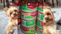 Canned Dog Meat | Please Save Dog - Our Pets