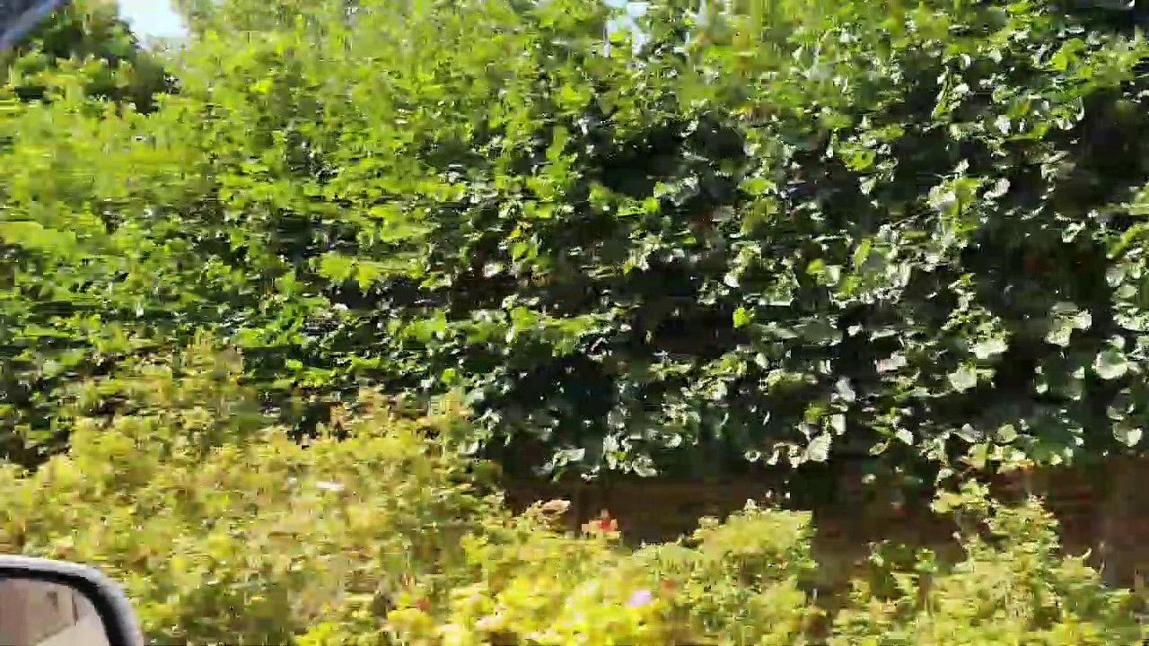 Cakiem Inne Oblicze Niderlandow MergellandRoute Cz1