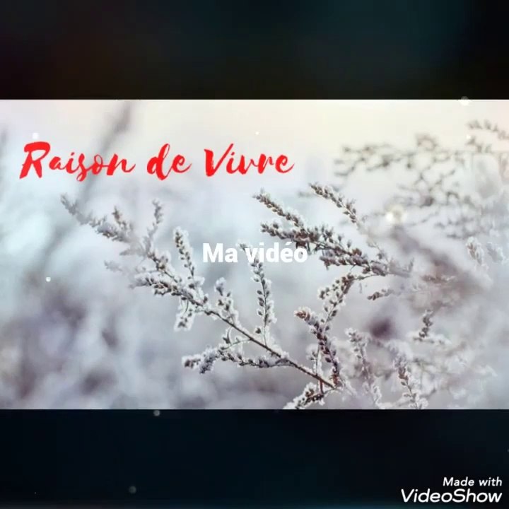raison de vivre 4.1