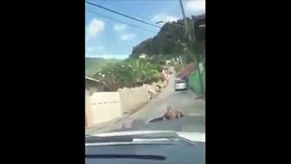 El anciano que se baña en un charco en medio de la carretera