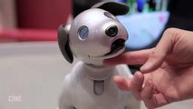 Sony AIBO Robot Dog New Updates
