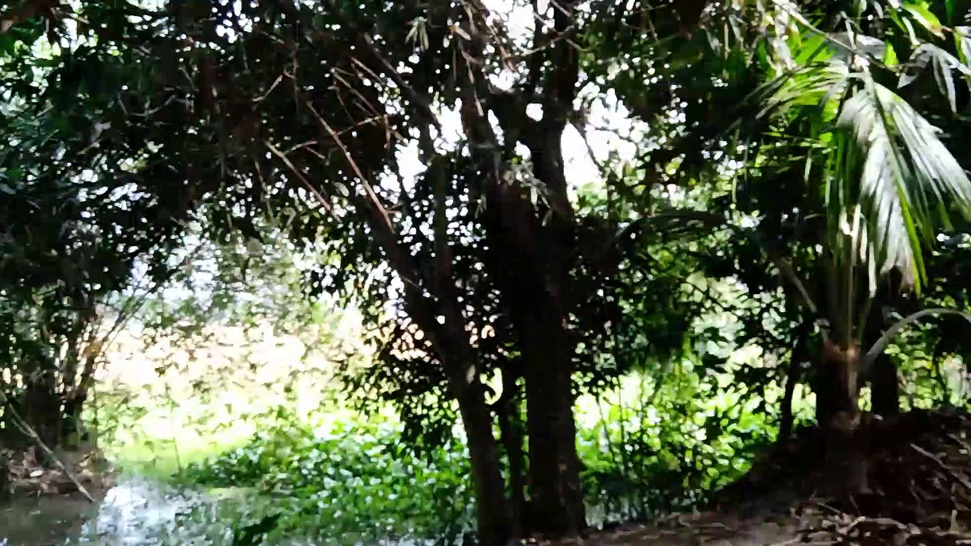 First travel videos trailer....
