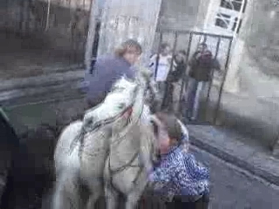 Abrivados Vergeze Février 2008