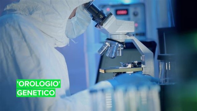 L'orologio genetico che può aiutare le specie in via di estinzione