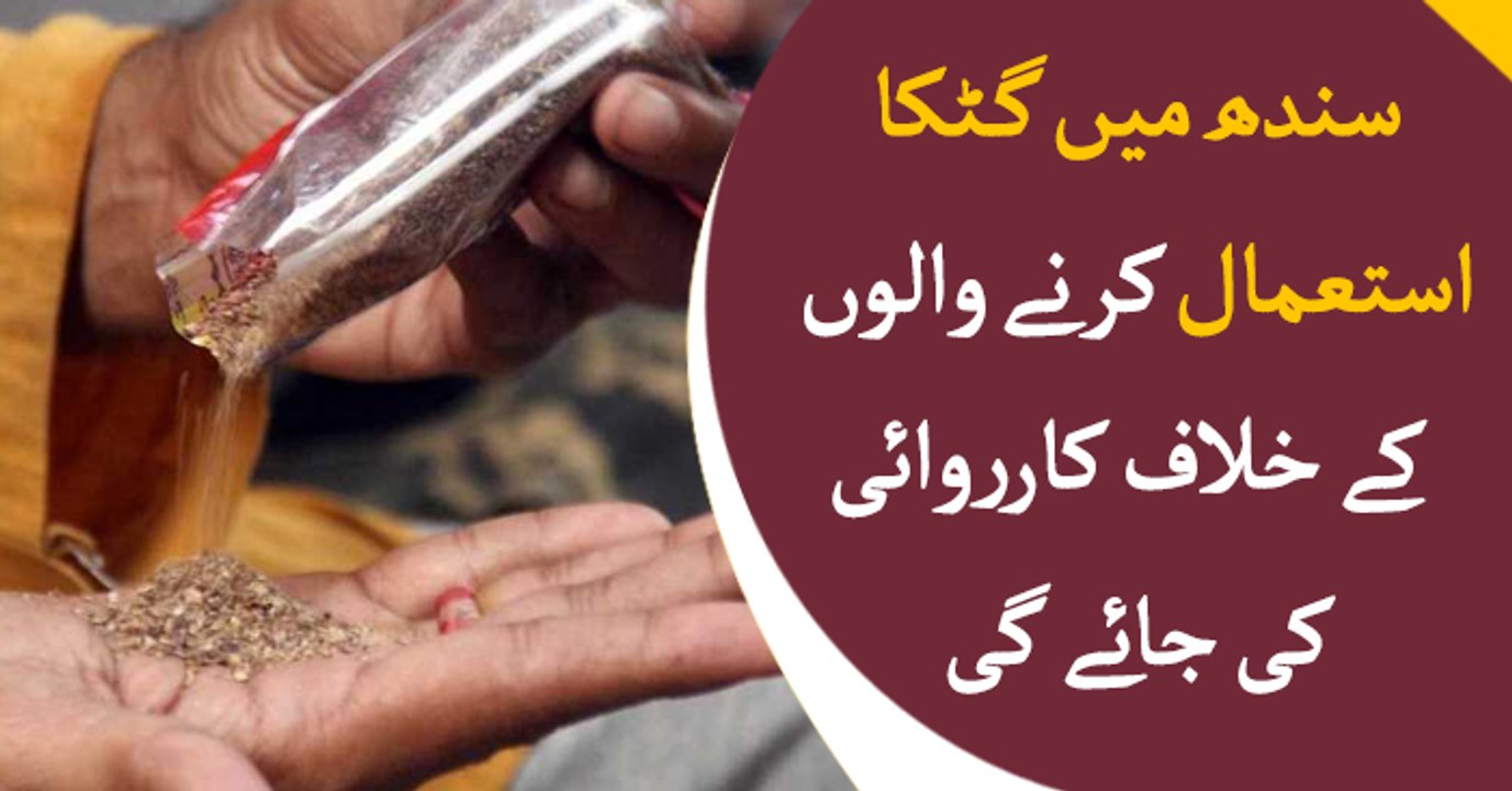 Sindh govt to start crackdown against Ghutka