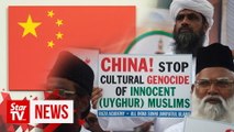 Chinese envoy to Australia says reports of detention of Uighurs 'fake news'