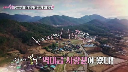 애교쟁이 남편의 내 사랑 손분 씨~_엄마의 봄날 223회 예고