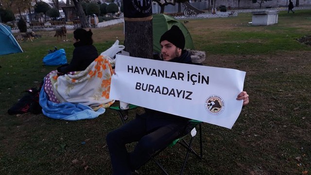 İBB önünde fayton protestosu! Çadırlarda sabahladılar