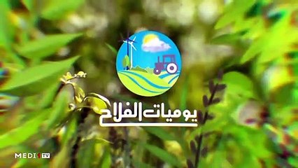 يوميات الفلاح - 20/12/2019