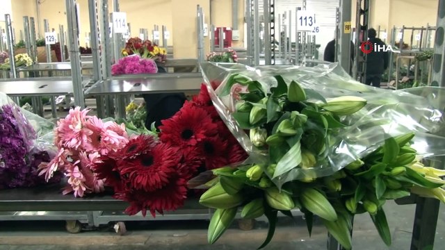 Yılbaşı öncesi İstanbul’un çiçek borsasında yoğunluk arttı