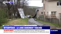 Tempête Elsa: les vents violents causent des dégâts dans la Loire