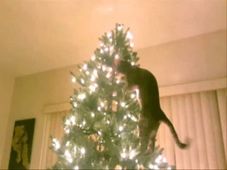 Drôles de Zanimaux - Pilote (Spécial Noël) Série Officielle