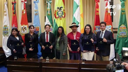 Bolívia tem novo TSE, que convocará eleições