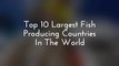 Top 10 Largest Fish Producing Countries In The World