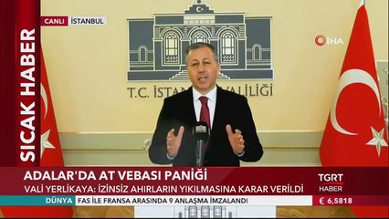 Vali Yerlikaya: “Adalar'da Faytonlara At Koşulması 3 Ay Süreyle Durduruldu”