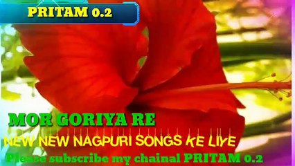 New NAGPURI video song.  MOR GORIYA RE..2019