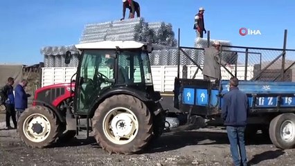 Gercüş'te devlet desteği ile çiftçinin yüzü güldü