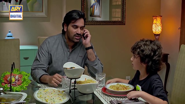 Meray Paas Tum Ho Episode 17 Pakistani Drama