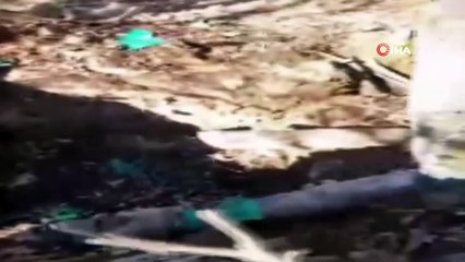 Bitlis’te ‘Kıran-8 Sehi Ormanları’ operasyonu