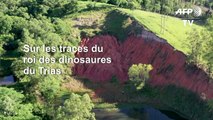 Au Brésil, un sanctuaire des dinosaures pré-jurassiques