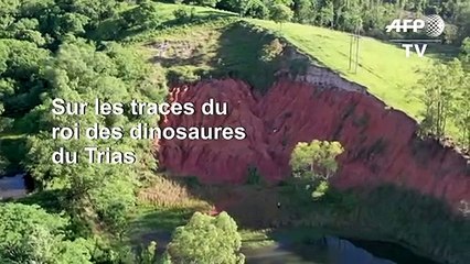 Au Brésil, un sanctuaire des dinosaures pré-jurassiques