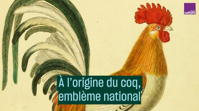À l'origine du coq, emblème national - #CulturePrime