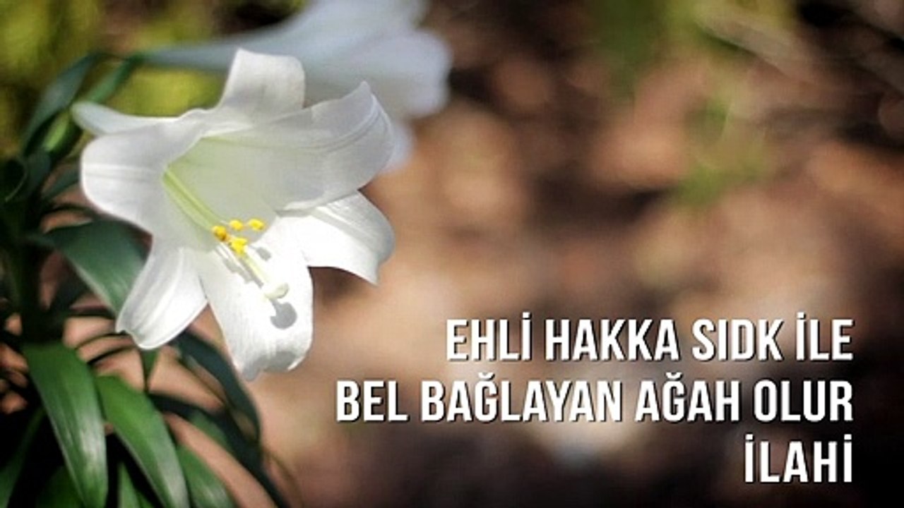 Müziksiz İlahiler - Ehli Hakka Sıdk İle Bel Bağlayan Ağah Olur