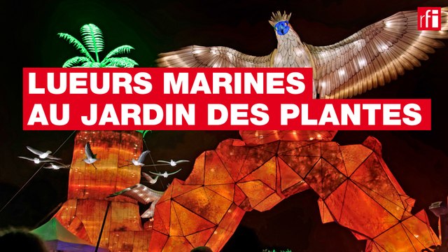Lueurs marines au Jardin des plantes