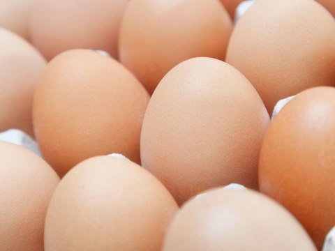 This Egg Brand Sells Reusable Cartons You Can Refill at the Grocery Store