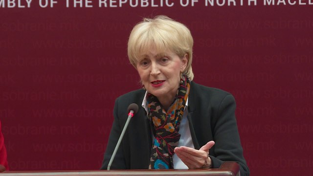 СДСМ не се откажува од изборен модел со една изборна единица