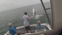 Un grand requin blanc saute hors de l'eau pour attraper la prise de ces pêcheurs