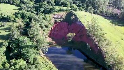 Rei ancião dos pampas