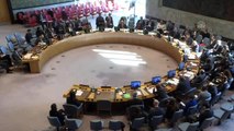 Rusya ve Çin, Suriye'ye sınır ötesi yardımları veto etti - NEW